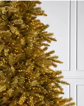 Golden Aspen Estate Fir Golden Aspen Estate Fir