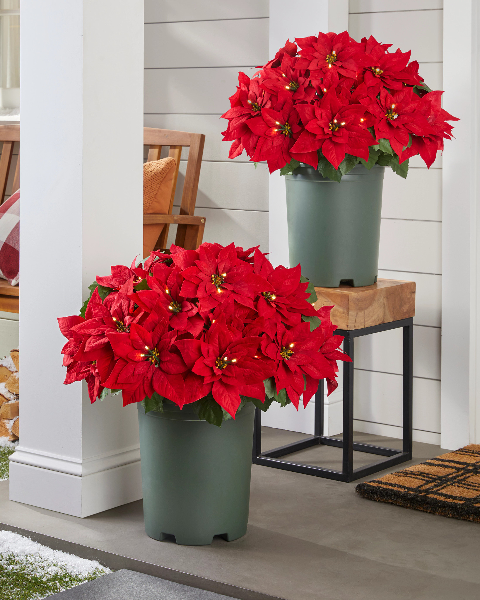 Outdoor Lit Red Poinsettia Celebration Pot Filler