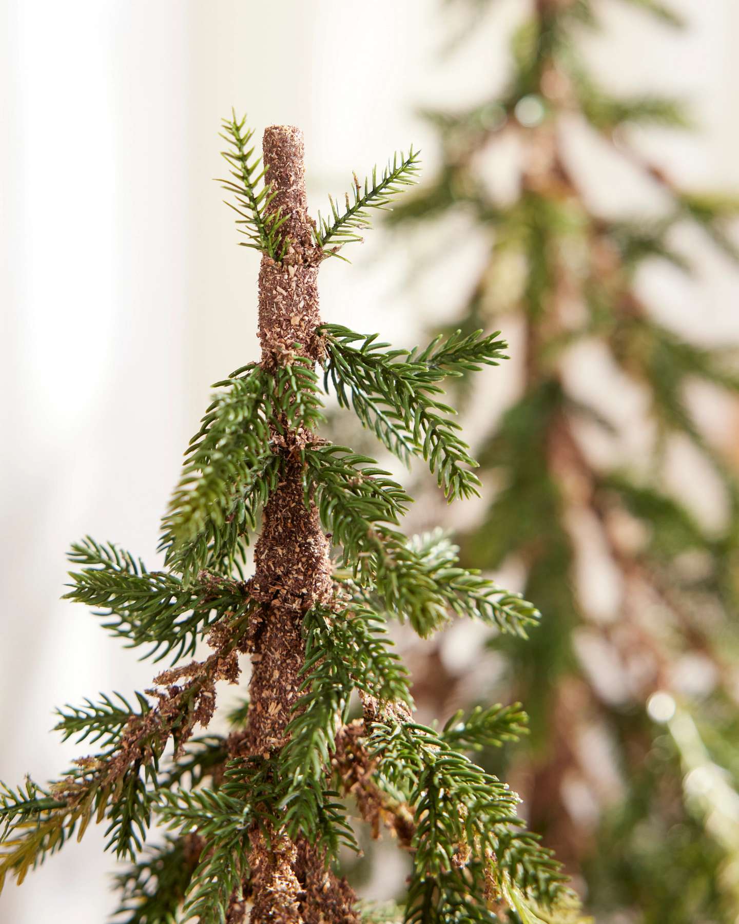 Rustic Evergreen Pine Trees, Set of 2