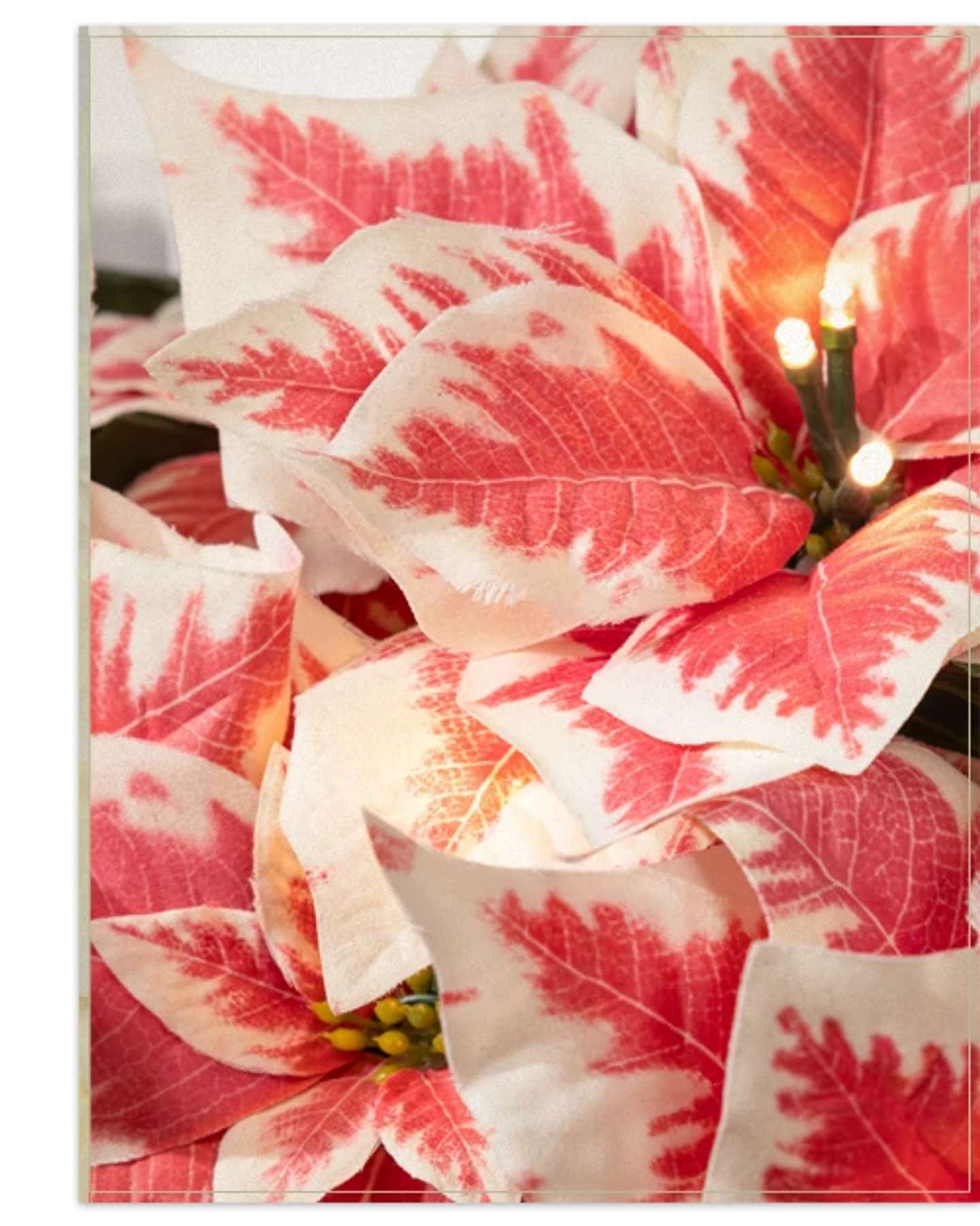 Balsam Hill Marbled Outdoor Lit Poinsettia Foliage Product Display
