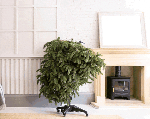 Die Flip Tree-Technologie von Balsam Hill zum einfachen Aufbau von Weihnachtsbäumen