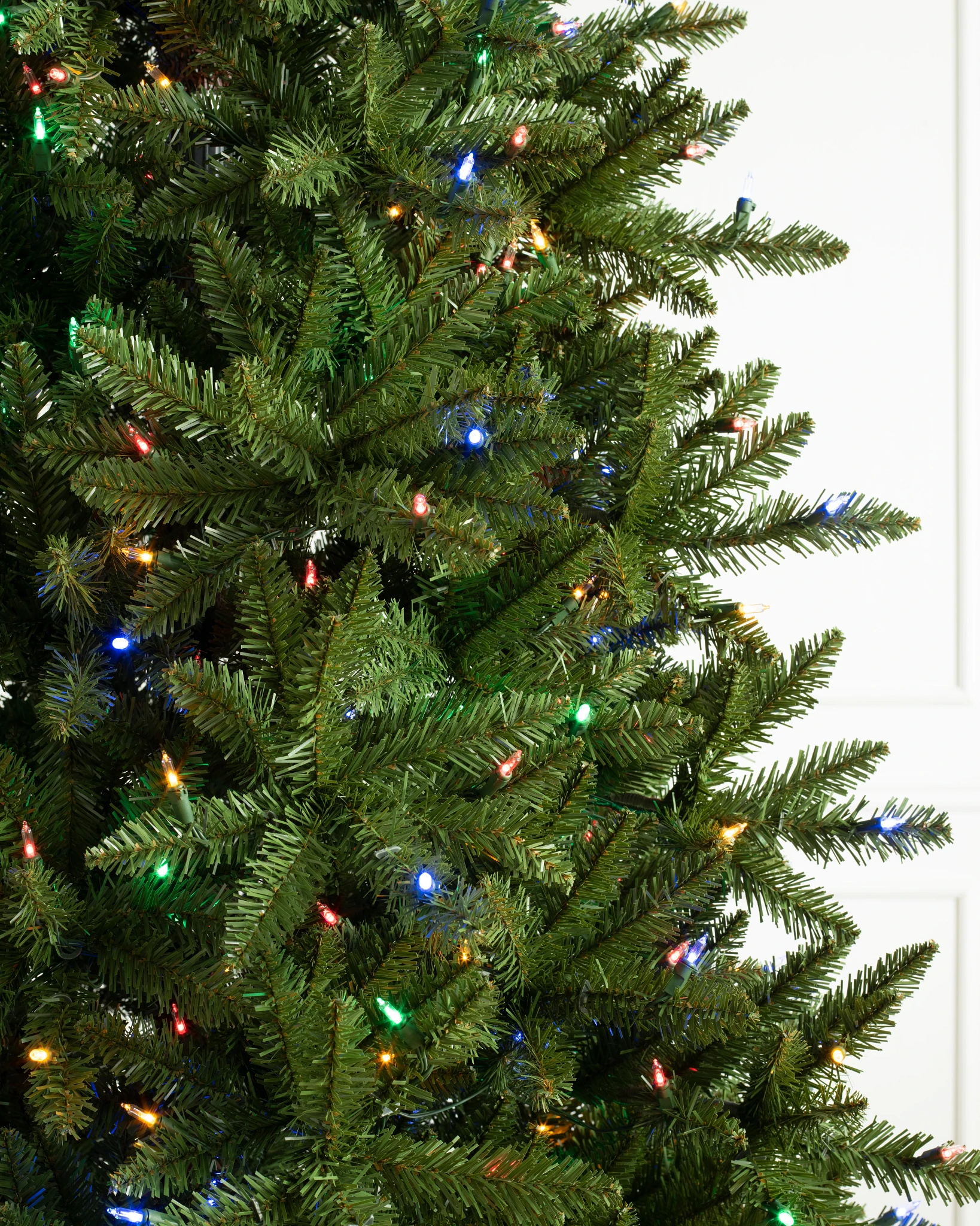 Berkshire Mountain Fir