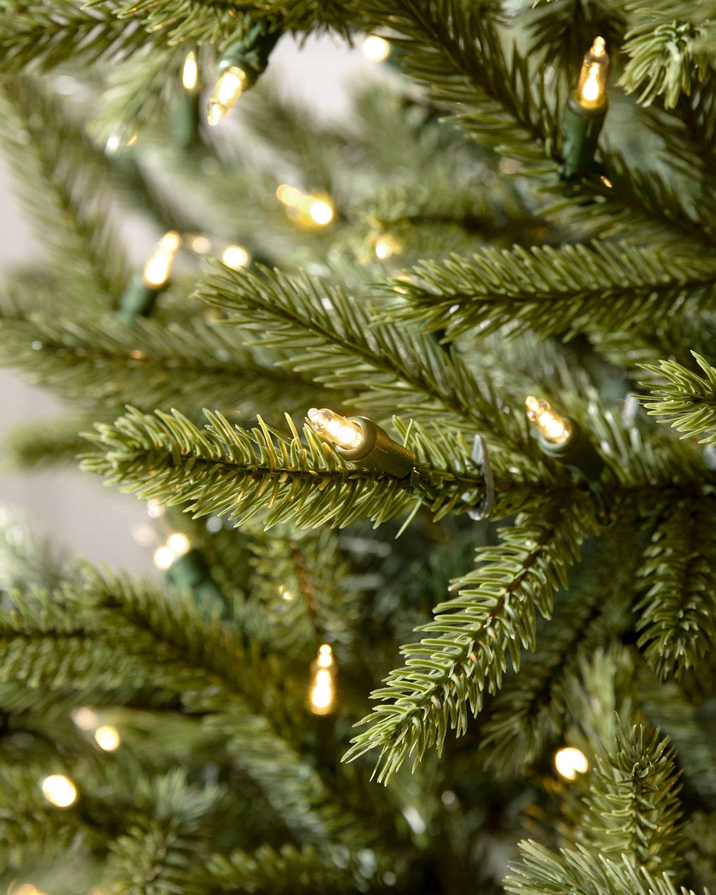 Northern Norway Spruce by Balsam Hill Closeup 20