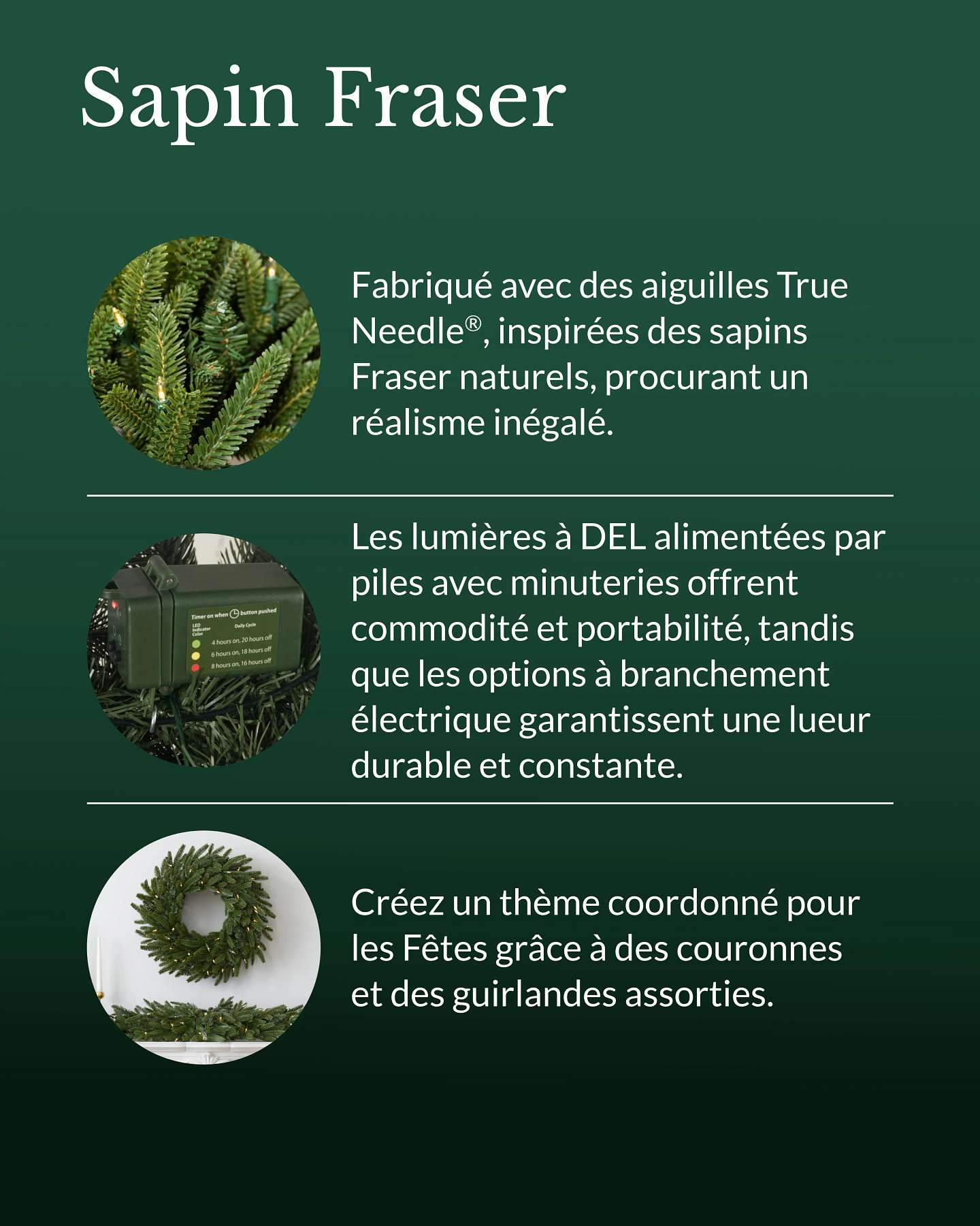Guirlande de sapin Fraser