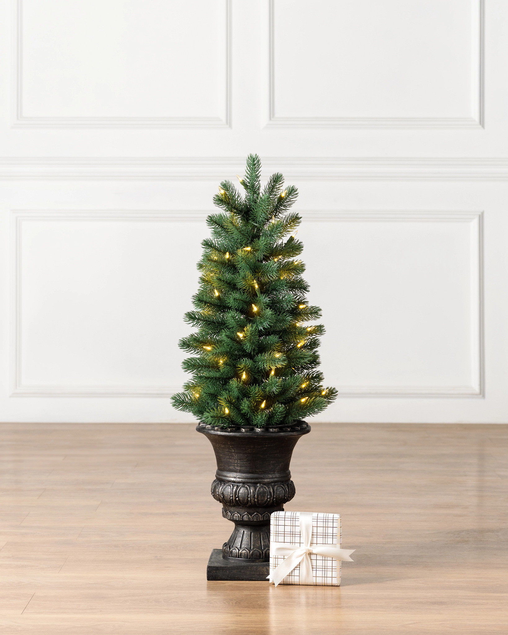 Sonoma Slim® Potted Pencil Tree