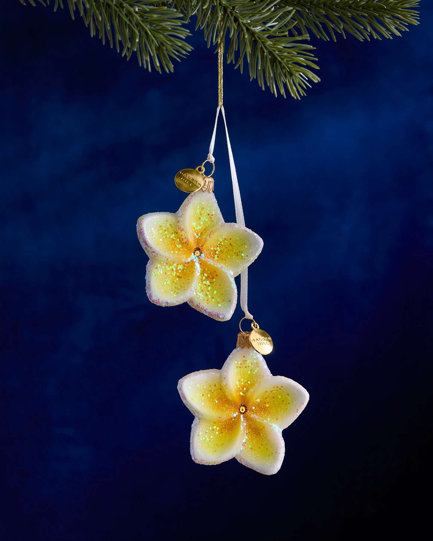 Balsam Hill Studio White Plumeria Ornament