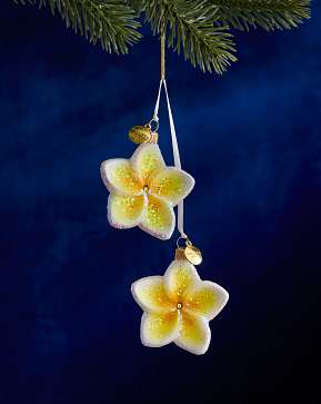 Balsam Hill Studio White Plumeria Ornament Balsam Hill Studio White Plumeria Ornament