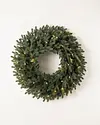 Norway Spruce Garland by Balsam Hill SSC 20