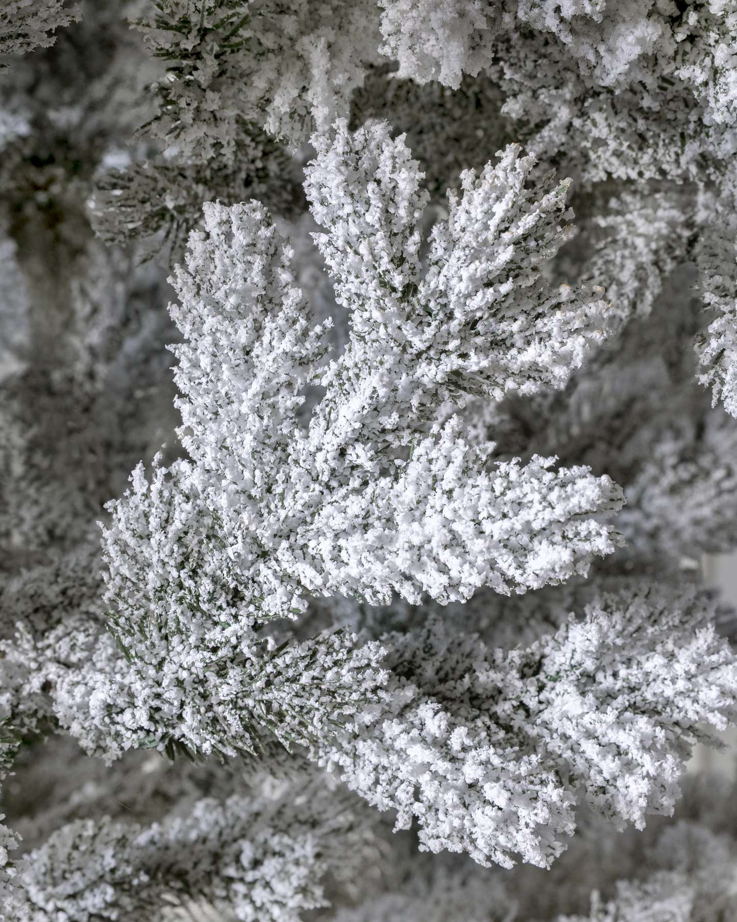 Balsam Hill Frosted Yukon Spruce Christmas Tree Detailed View