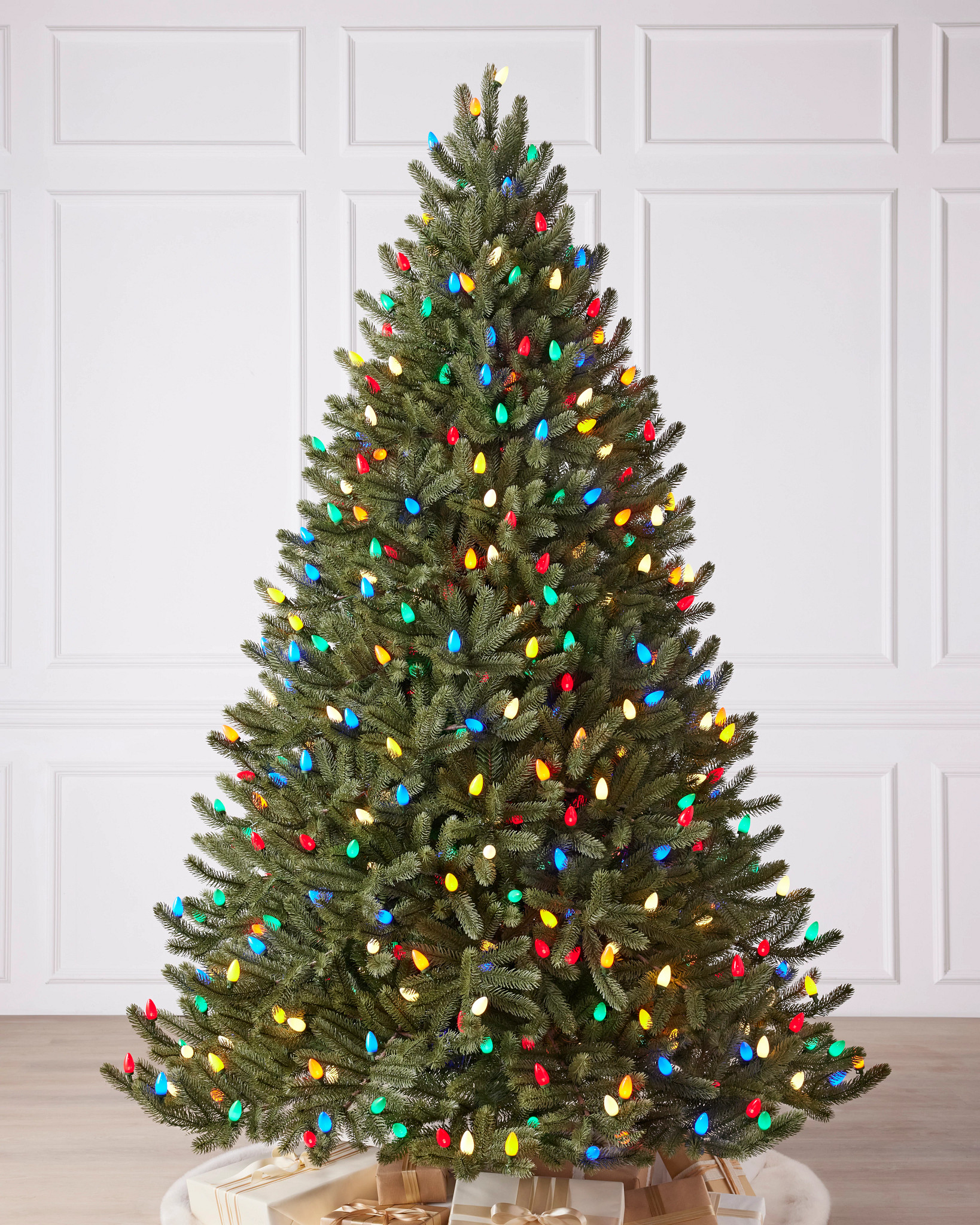 Vermont White Spruce