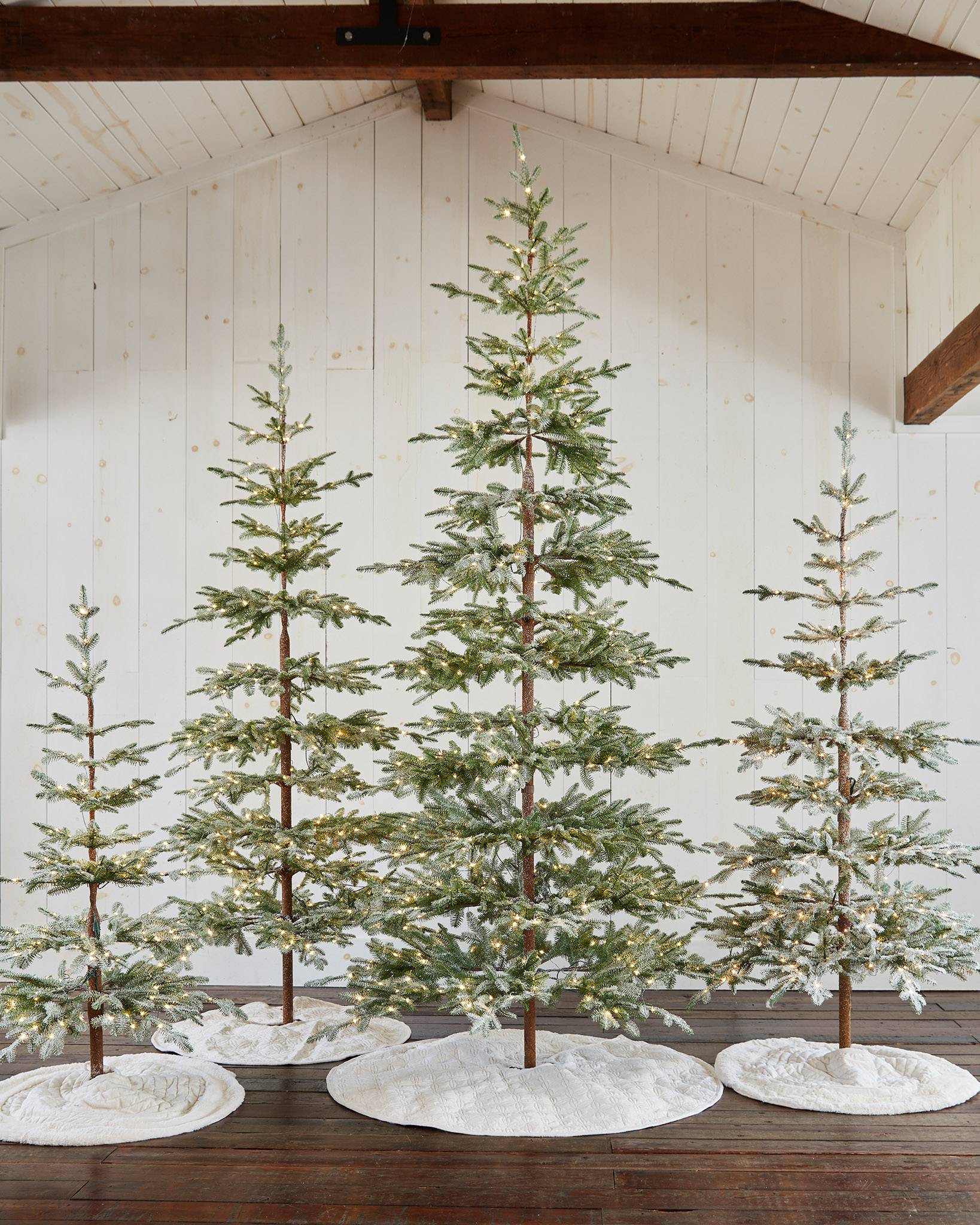 Sapin givré des Alpes | Balsam Hill
