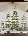 Frosted Alpine Balsam Fir by Balsam Hill Lifestyle 9