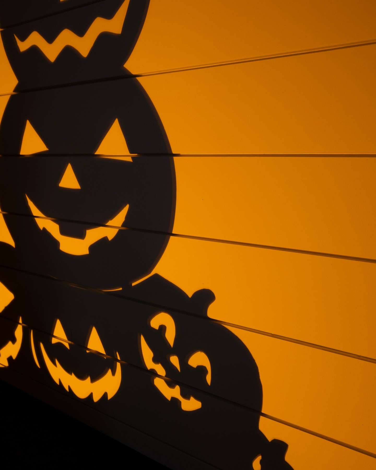 Balsam Hill 43-Inch Outdoor Illuminated Jack O’Lanterns Silhouette Closeup