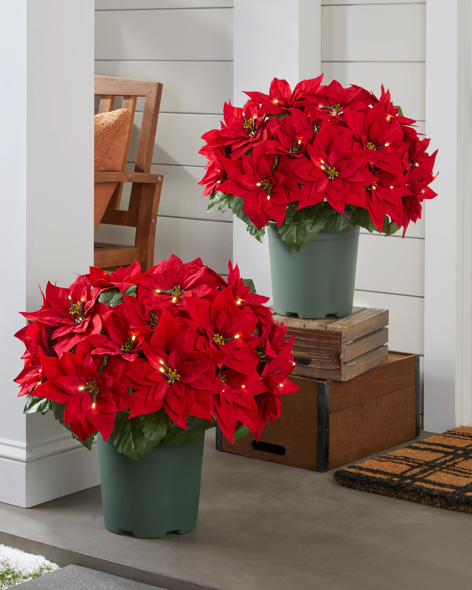 Outdoor Lit Red Poinsettia Celebration Pot Filler