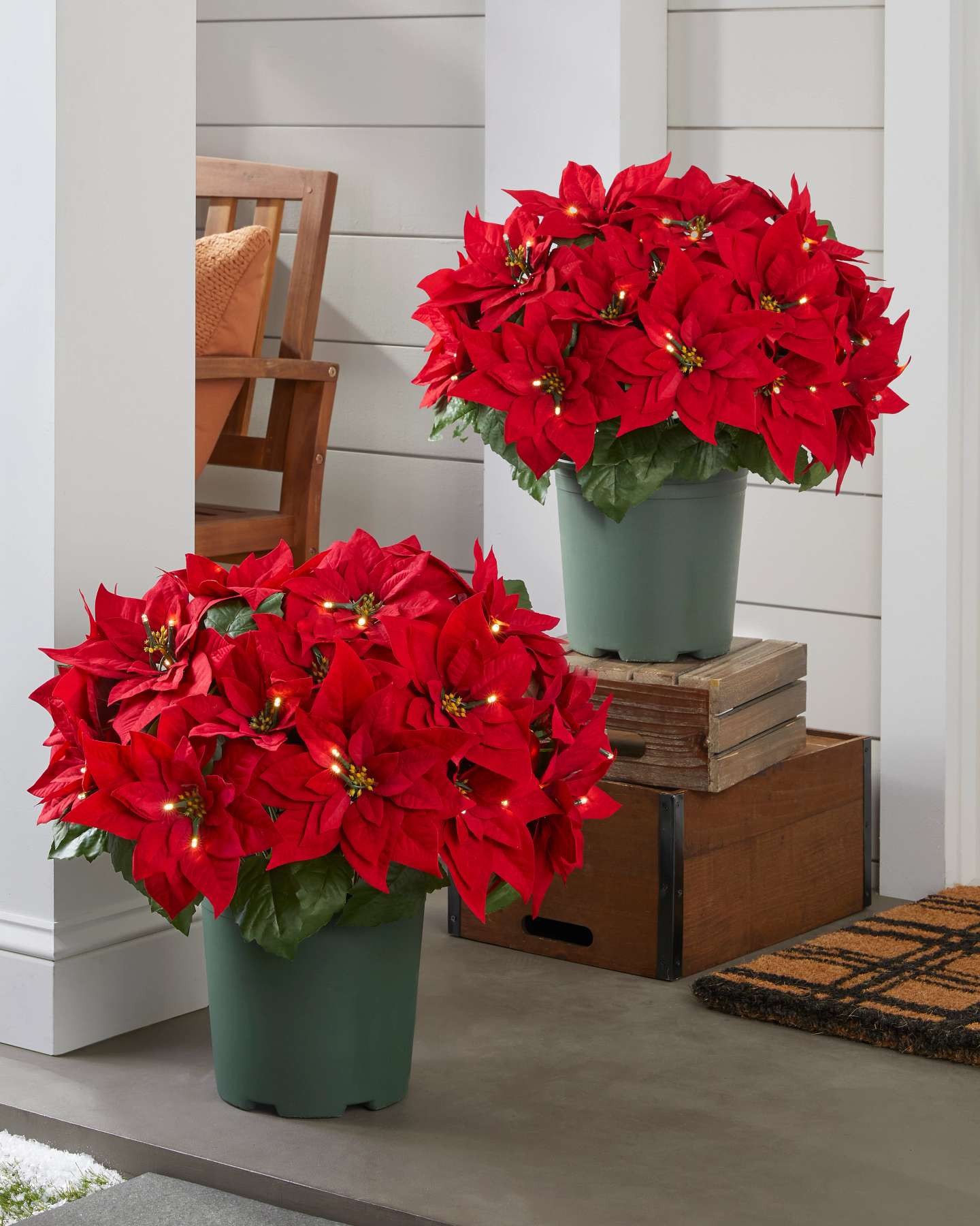 Balsam Hill Medium Red Outdoor Lit Poinsettia Pot Fillers 2-Pack in Studio Setting