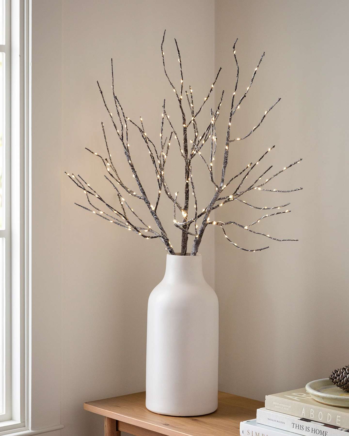 Balsam Hill Lit Snowy Twig Branches Set of 3 LED in Storage
