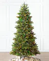 BH Norway Spruce Color+Clear LED SSC by Balsam Hill
