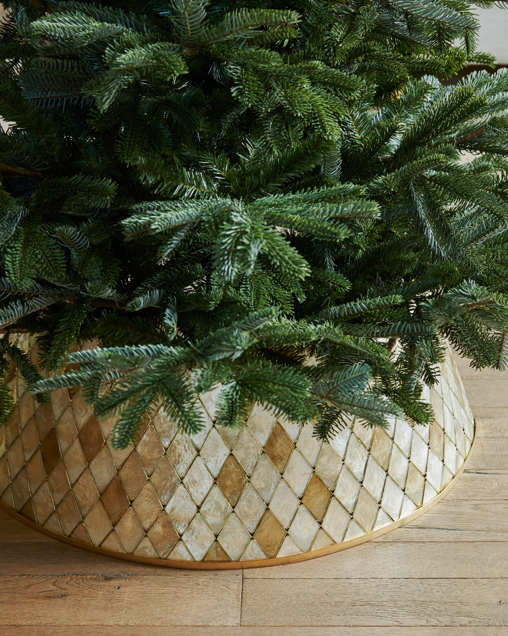 SKT-1941007_Capiz-Tree-