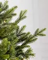 4ft Potted Garden Spruce by Balsam Hill Closeup 10