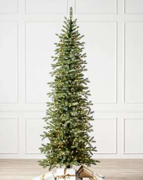 Cathedral Fir Cathedral Fir
