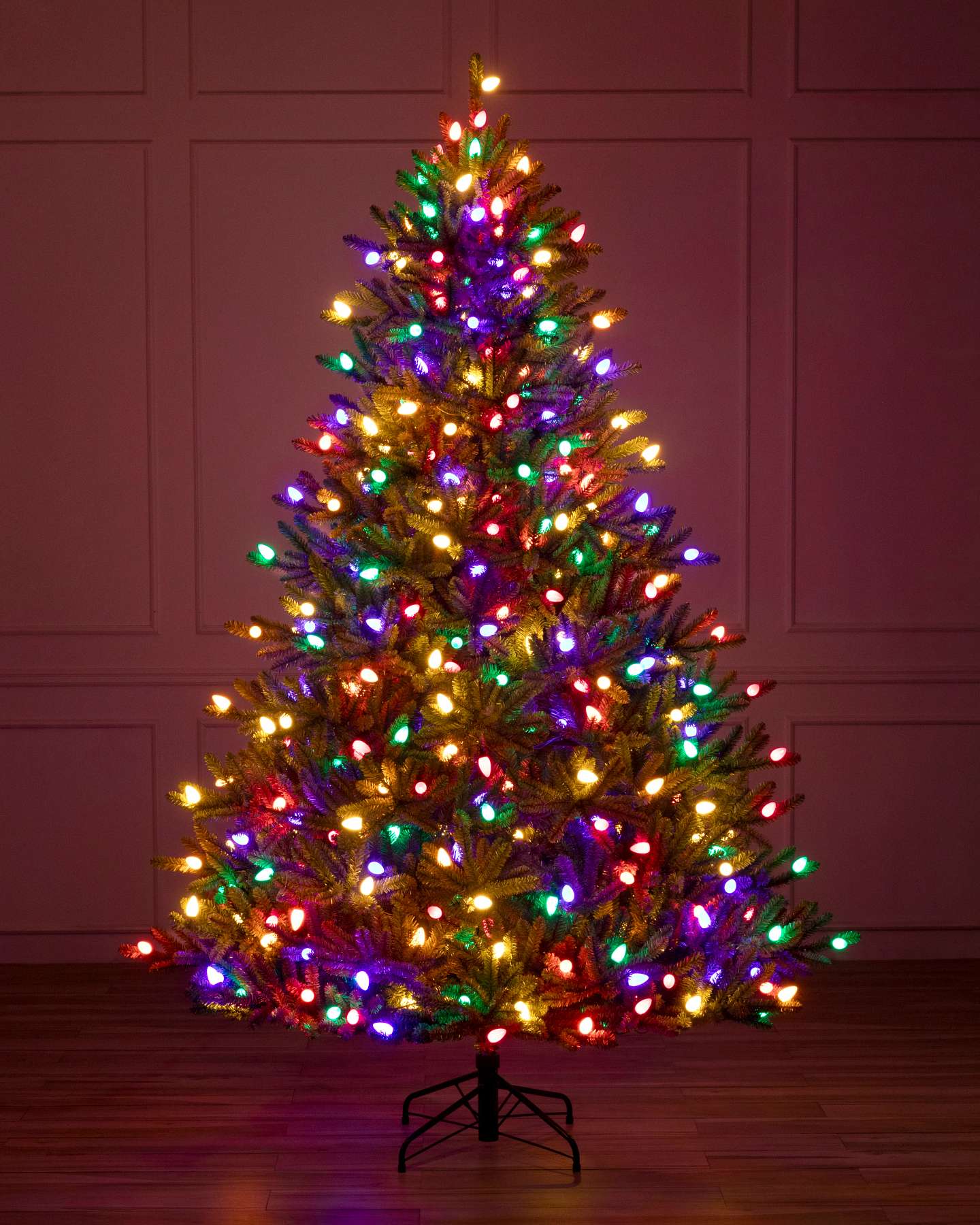 Classic Blue Spruce