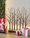 Snowy Branch LED Tree Grove by Balsam Hill Lifestyle 10