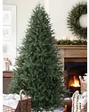 Saratoga Spruce Tree by Balsam Hill Lifestyle 10