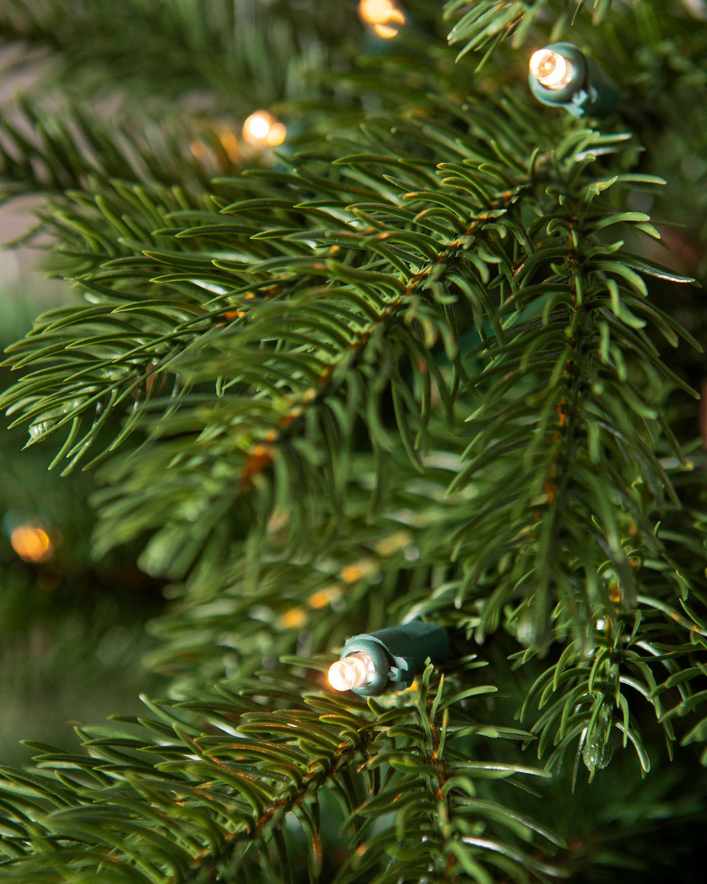 Balsam Hill Artificial Christmas Wreath Country Farm Fir Detail View