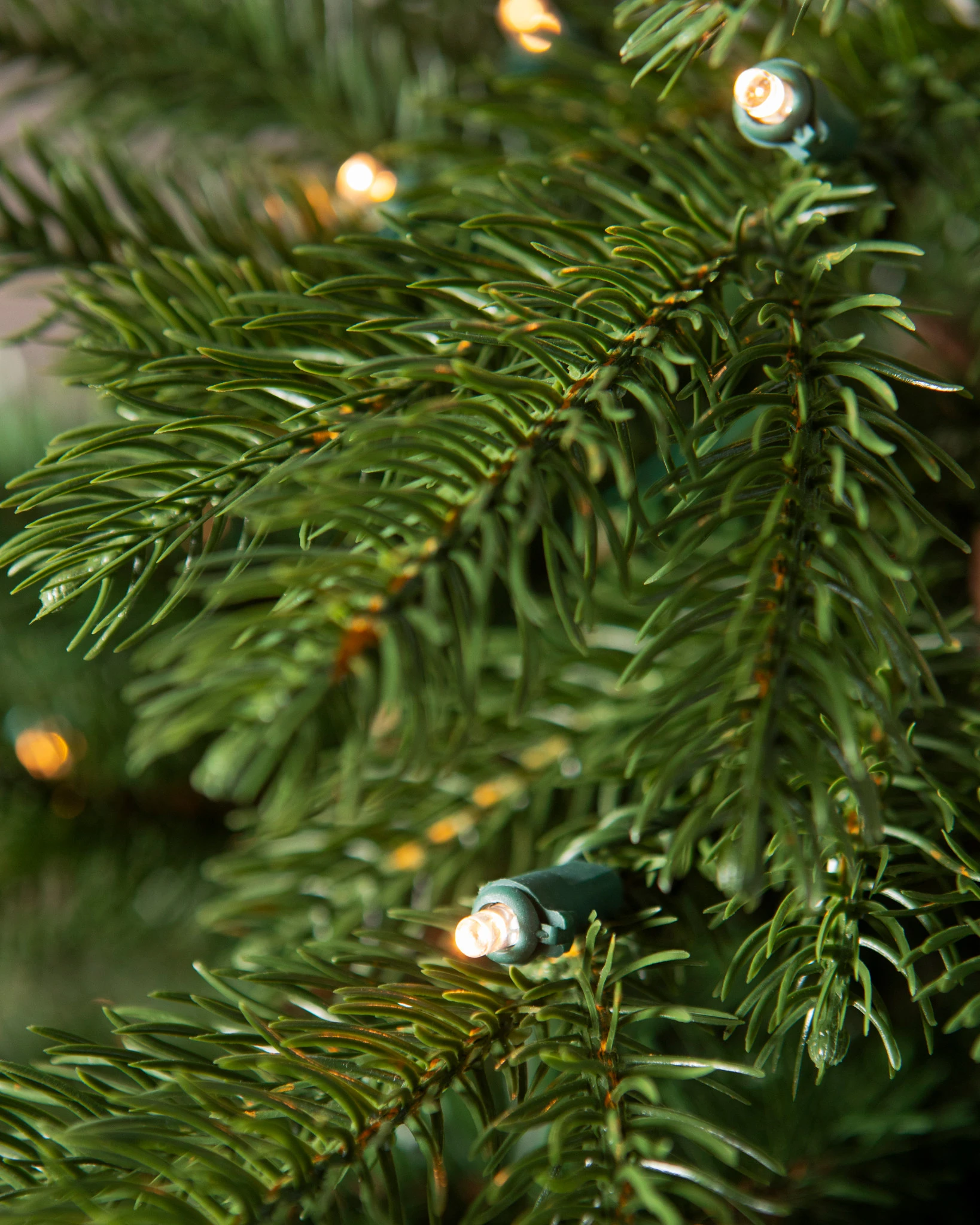 Country Farm Fir