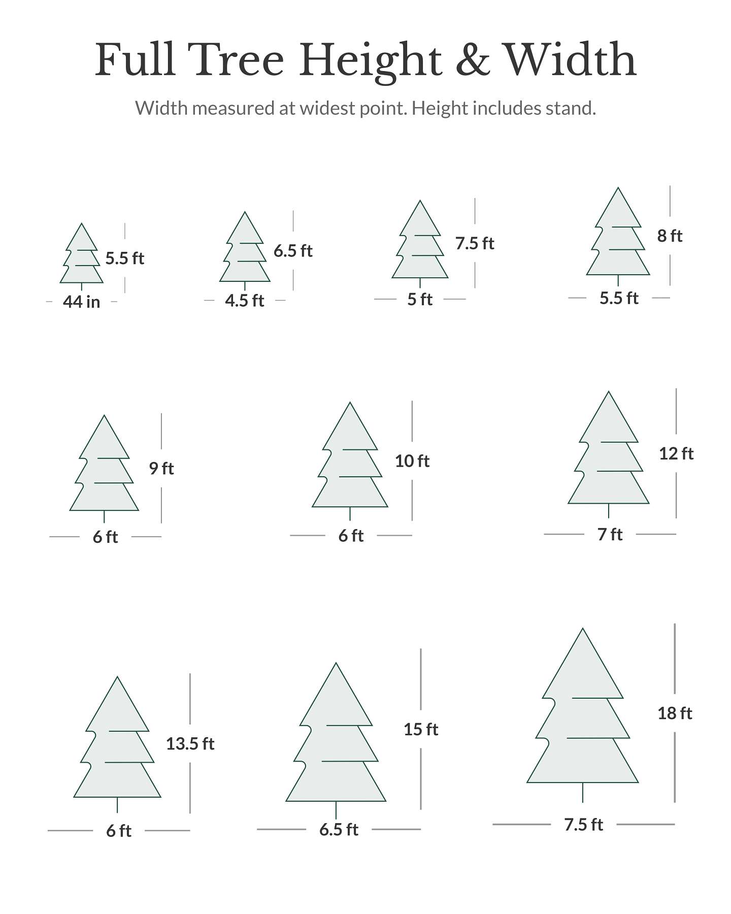Sapin baumier de 5,5 pi