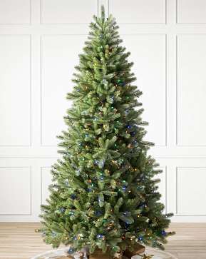 Woodland Spruce Woodland Spruce