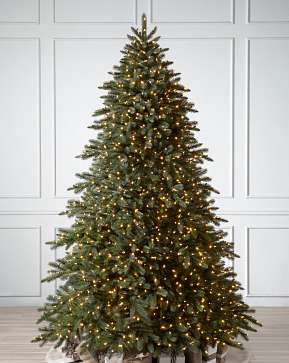 Aspen Estate Fir Aspen Estate Fir