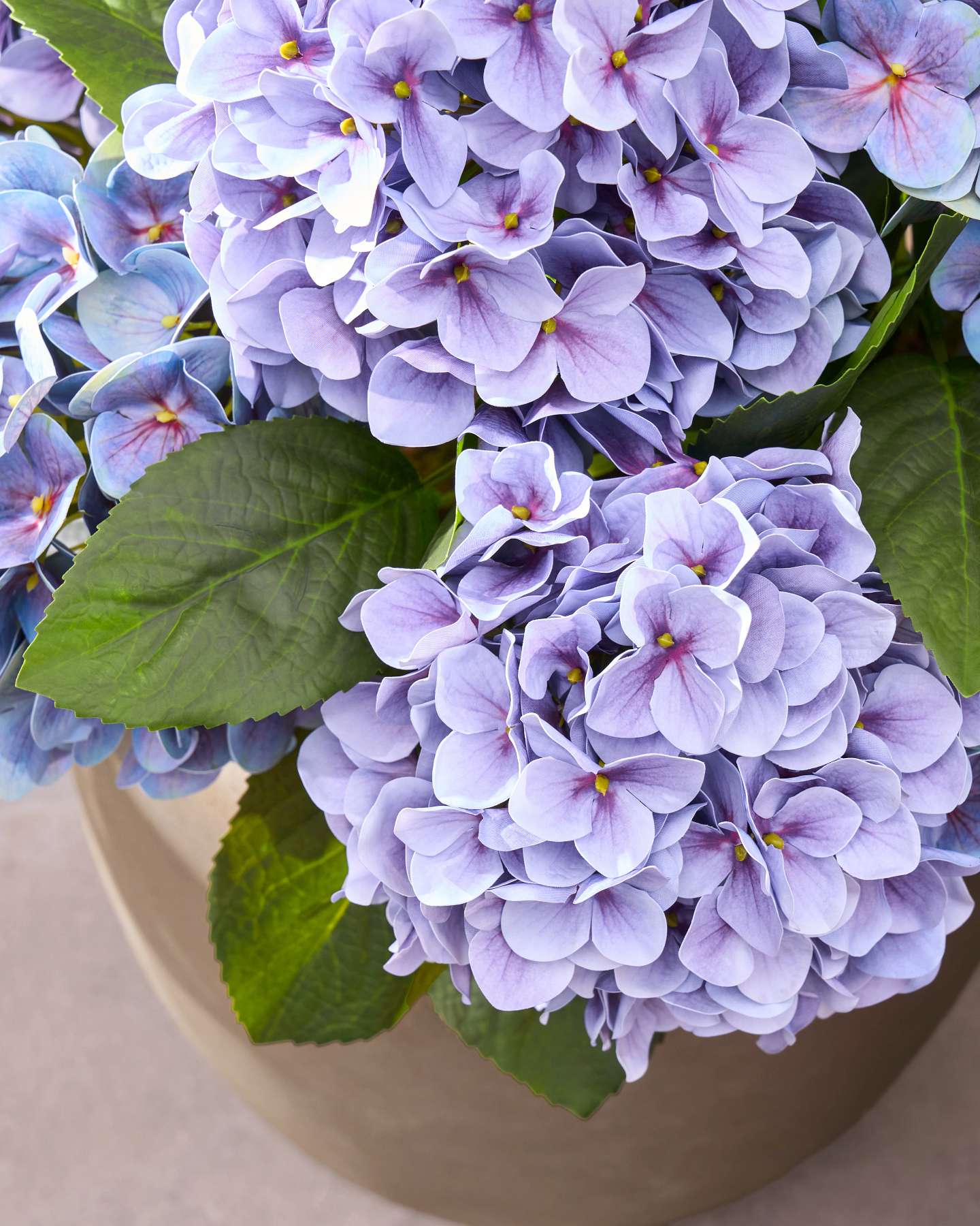 Outdoor Hydrangea Pot Filler Purple by Balsam Hill Closeup 20