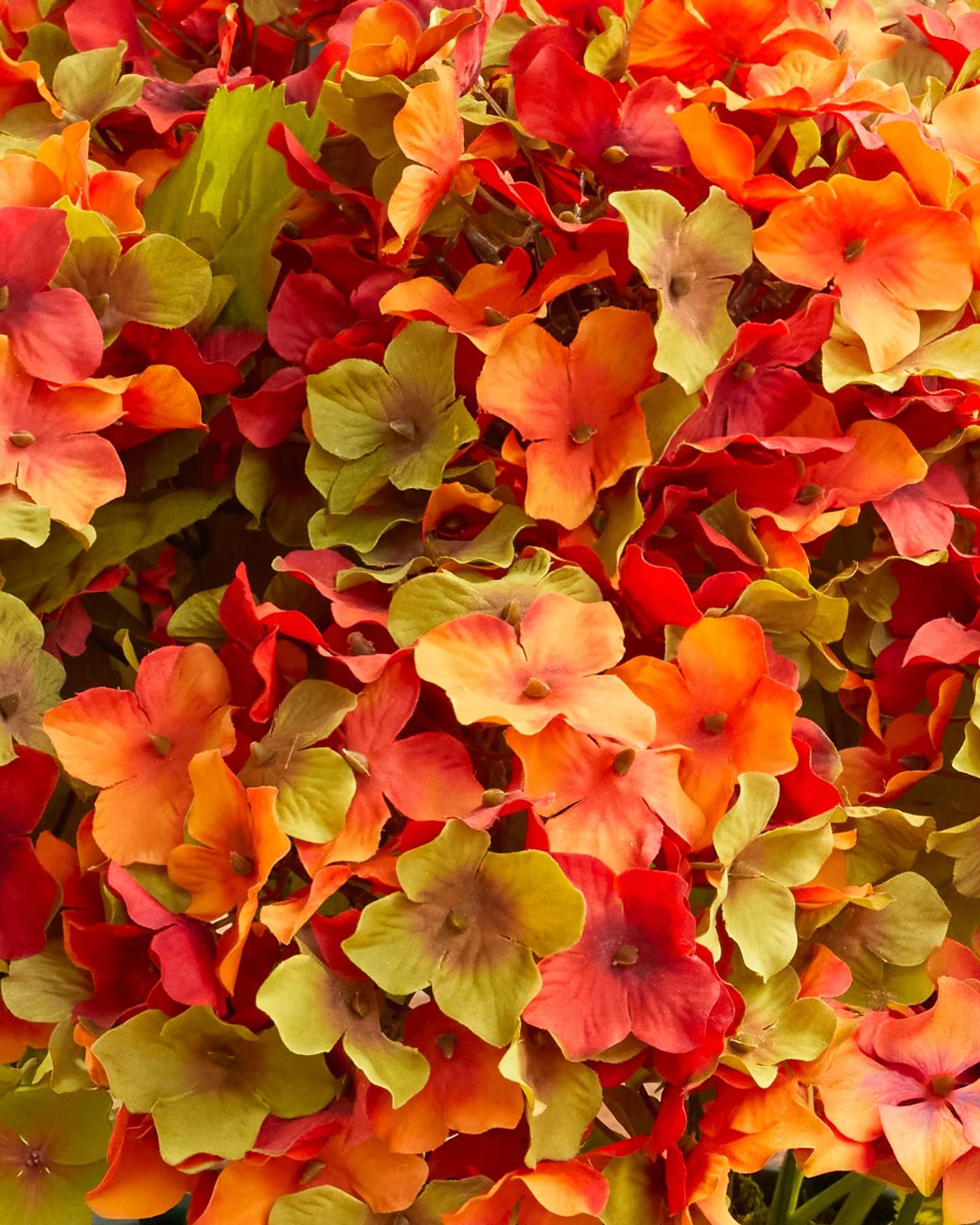 Balsam Hill Rustic Hydrangea Artificial Fall Arrangement Set