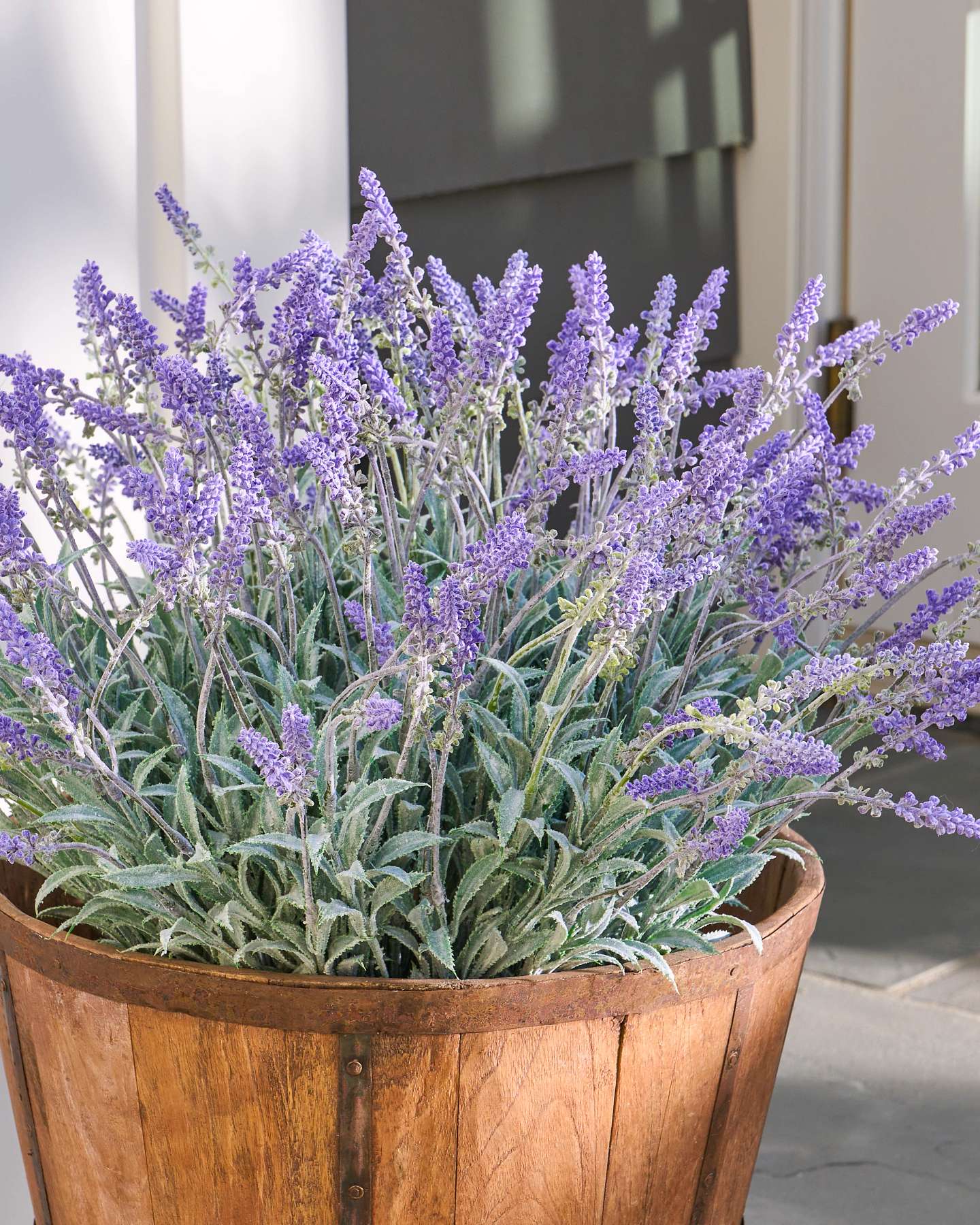 Balsam Hill Outdoor Lavender Meadow Artificial Spring Foliage Close-Up