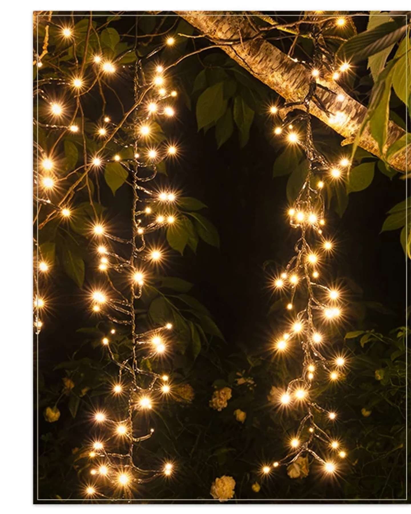Balsam Hill Outdoor Cascade Tree Light String Product Showcase