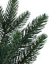 Colorado Mountain Spruce Potted by Balsam Hill Detail
