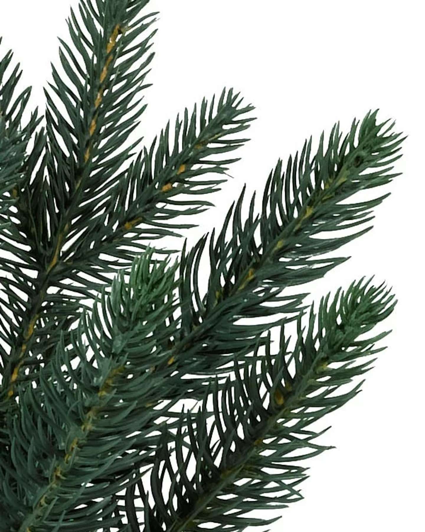 Balsam Hill Colorado Mountain Spruce Artificial Christmas Tree Detail
