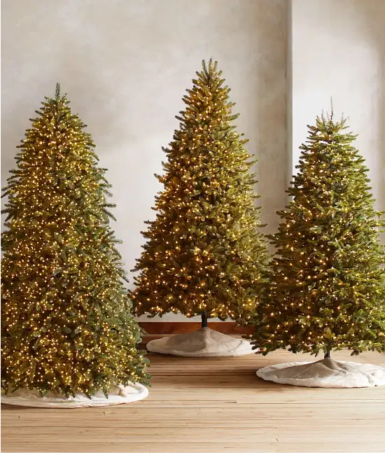 The Tree Shop