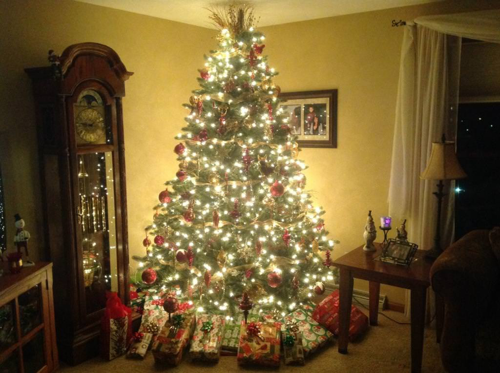 Vermont White Spruce™ Christmas Trees Balsam Hill