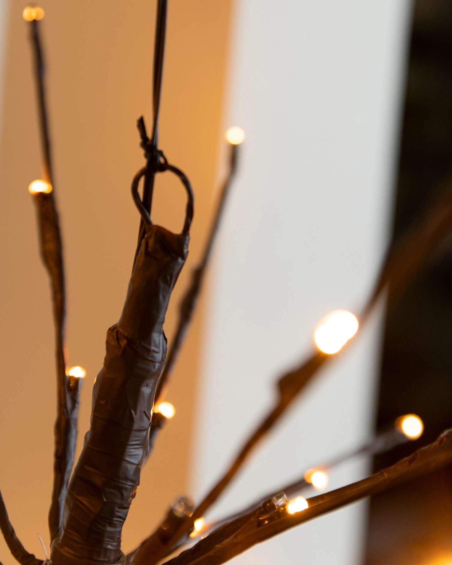 Balsam Hill Twig Outdoor LED Starburst Lights Set of 2 Closeup of Twinkling LEDs