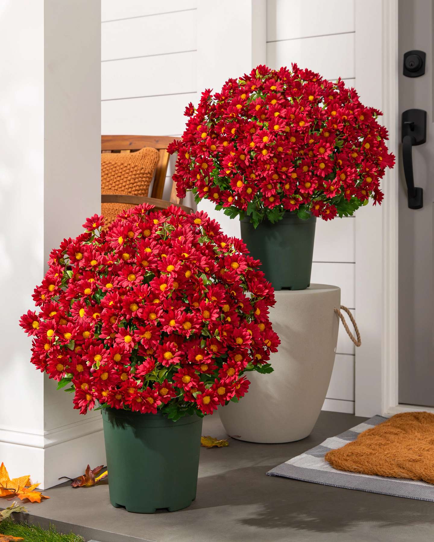 Balsam Hill Scarlet Outdoor Sunset Mums Artificial Spring Foliage Set of 2 20-Inch