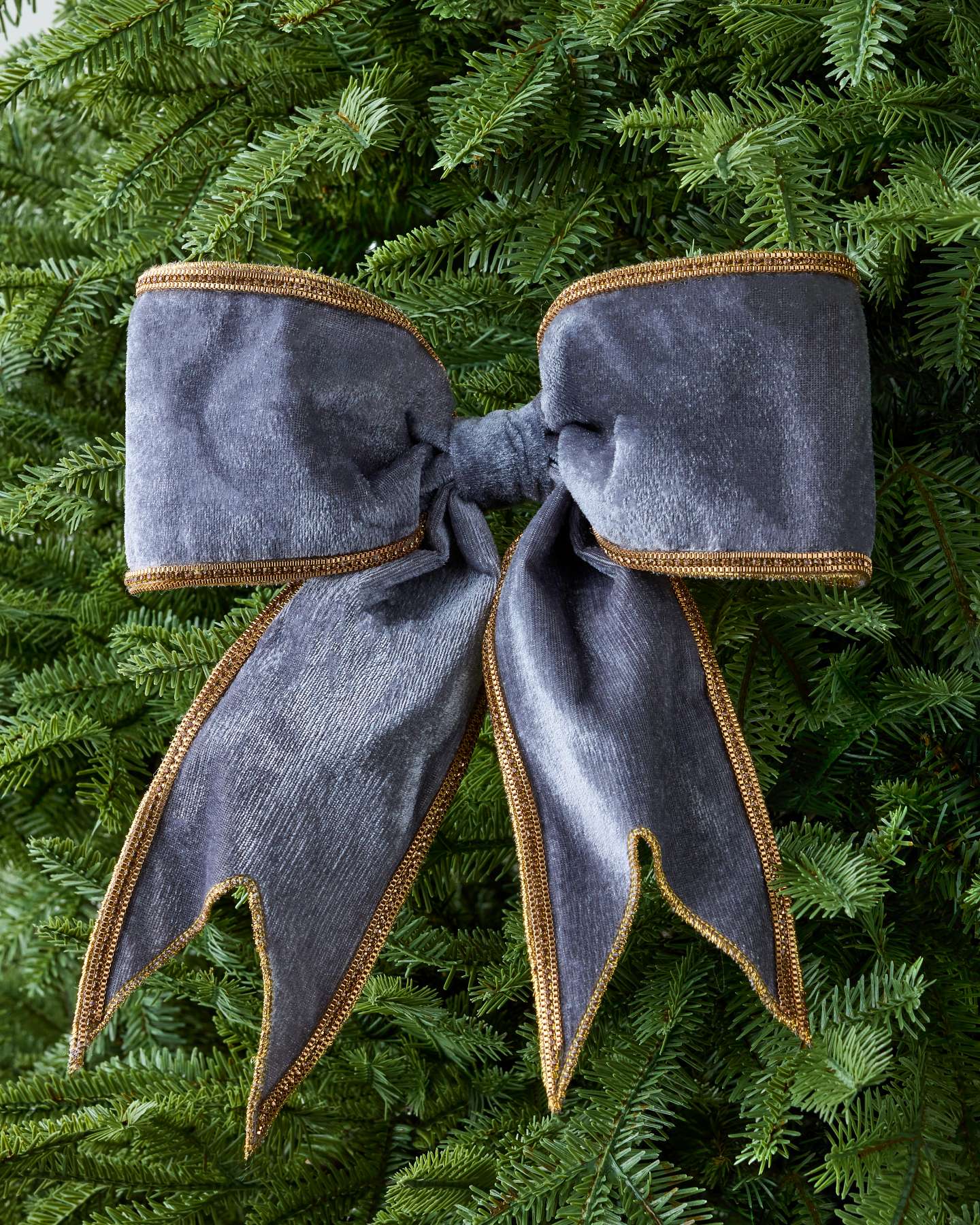 Gray Velvet Gold-Edged Pre-Tied Bow