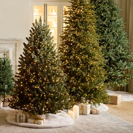 Shop Bestselling Trees