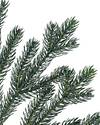 Norway Spruce Holiday Potted Tree by Balsam Hill Detail