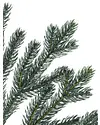 Norway Spruce Holiday Potted Tree by Balsam Hill Detail