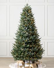 Künstlicher Weihnachtsbaum des Typs „Europäische Silbertanne“ in einem weißen Raum