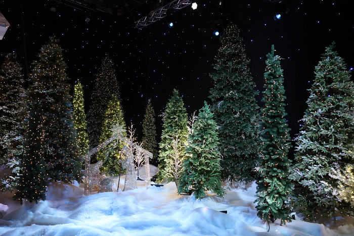 Balsam Hill partnered with CMA to decorate the “CMA Country Christmas” stage with stunningly realistic Christmas trees and beautifully-designed holiday décor!