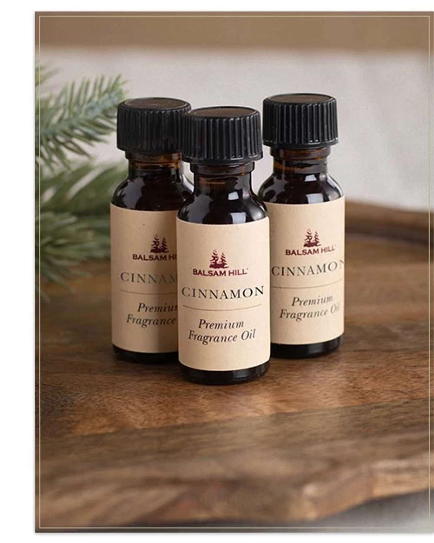 Balsam Hill Autumn Scents of the Season Cartridges