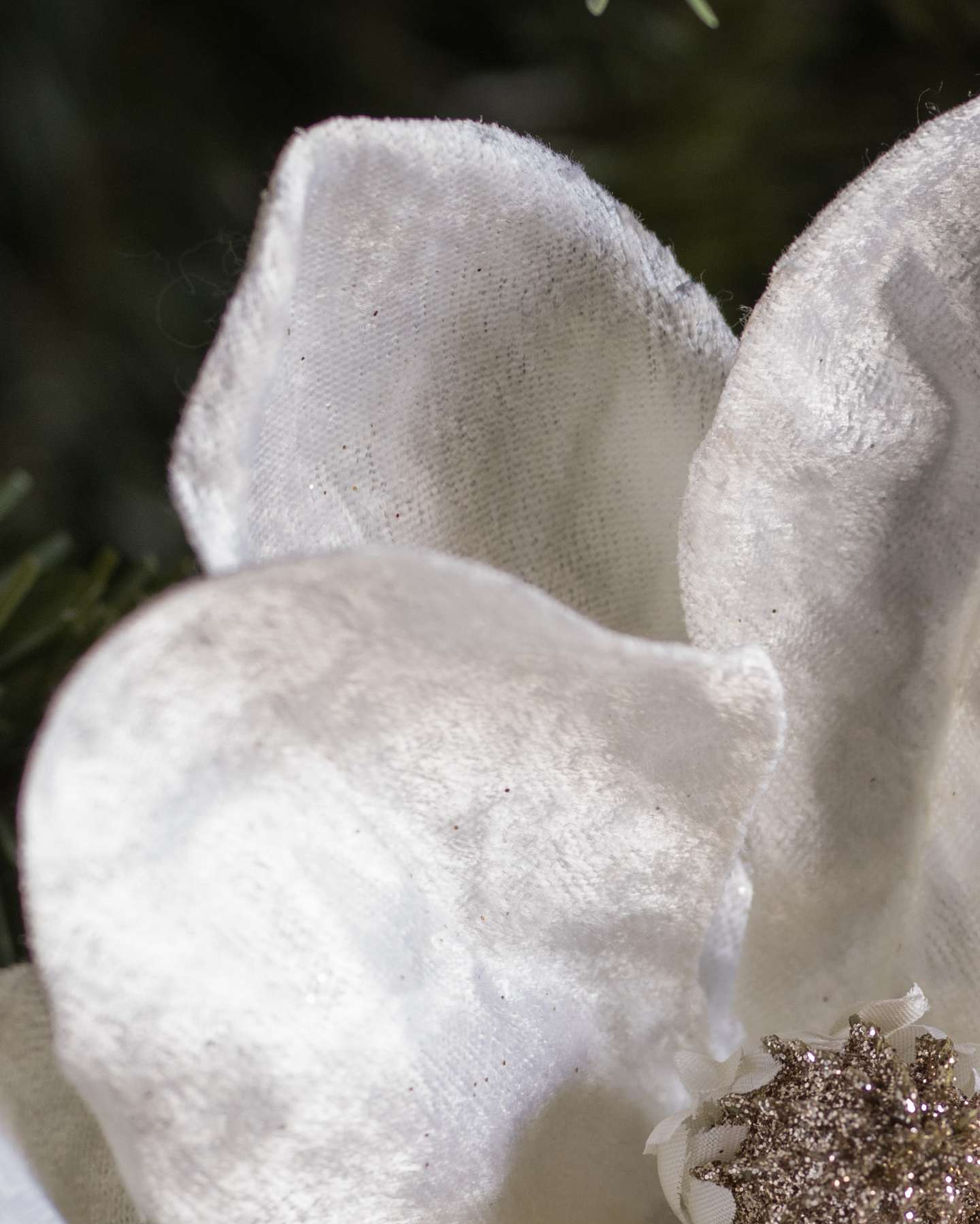 Balsam Hill Magnolienzweige in Elfenbein | Raffinierte Winterblüte